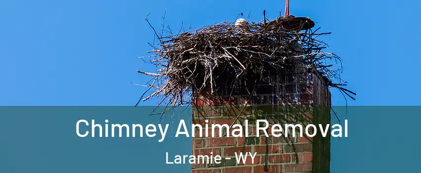  Chimney Animal Removal Laramie - WY