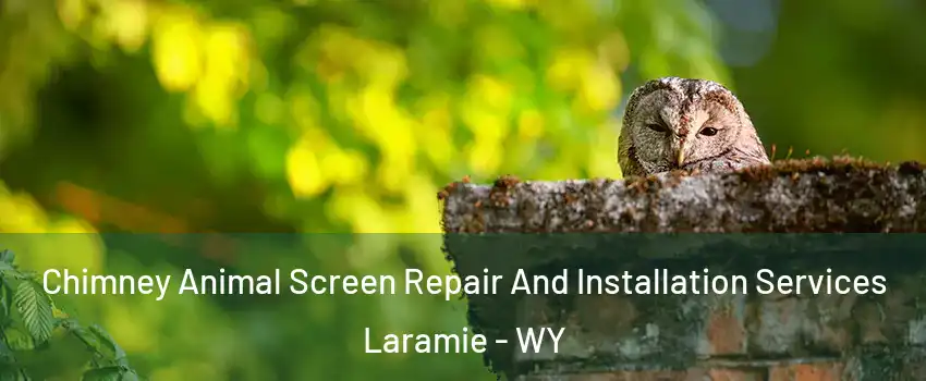  Chimney Animal Screen Repair And Installation Services Laramie - WY