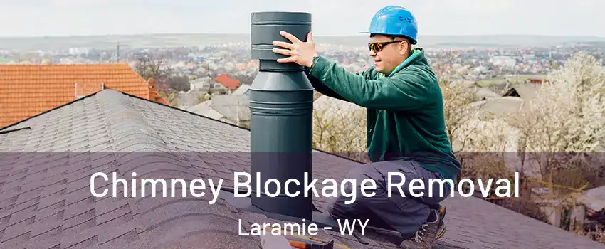  Chimney Blockage Removal Laramie - WY