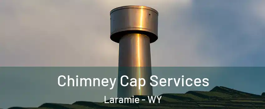  Chimney Cap Services Laramie - WY