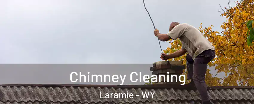  Chimney Cleaning Laramie - WY