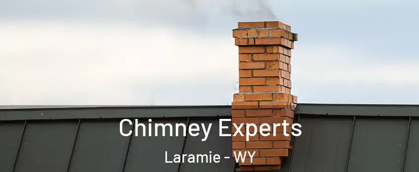 Chimney Experts Laramie - WY
