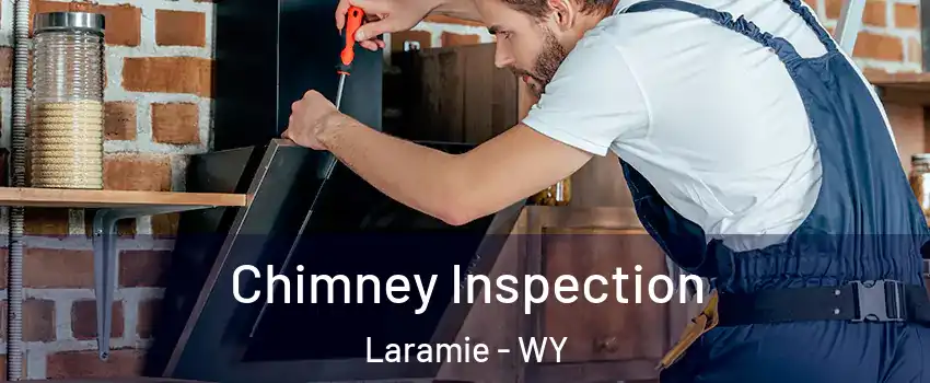  Chimney Inspection Laramie - WY