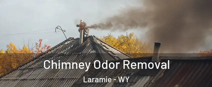  Chimney Odor Removal Laramie - WY