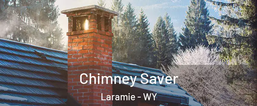  Chimney Saver Laramie - WY
