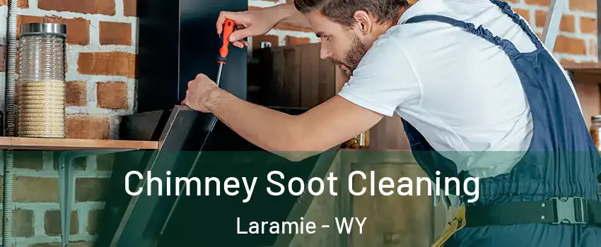  Chimney Soot Cleaning Laramie - WY