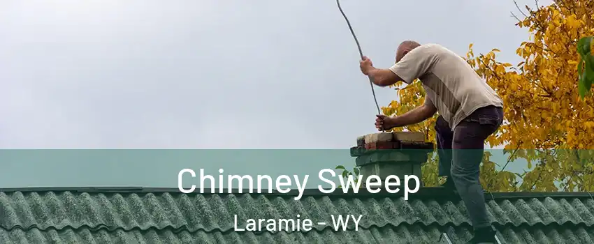  Chimney Sweep Laramie - WY