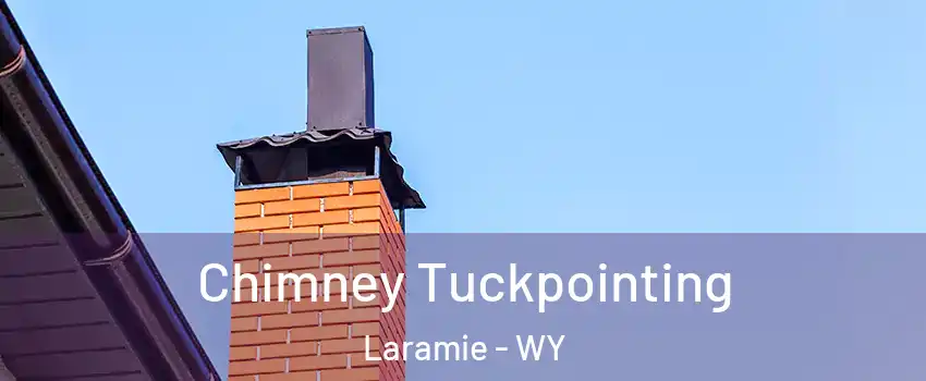  Chimney Tuckpointing Laramie - WY