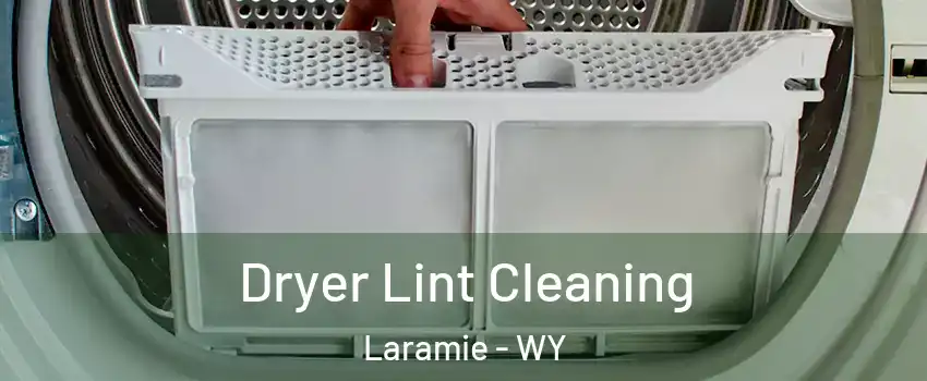  Dryer Lint Cleaning Laramie - WY