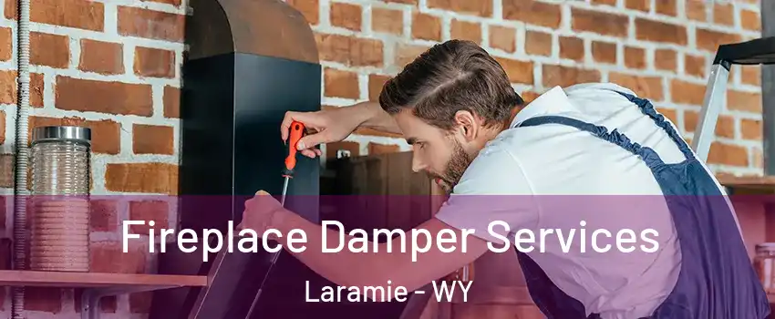  Fireplace Damper Services Laramie - WY