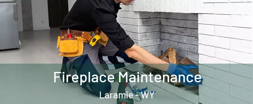  Fireplace Maintenance Laramie - WY