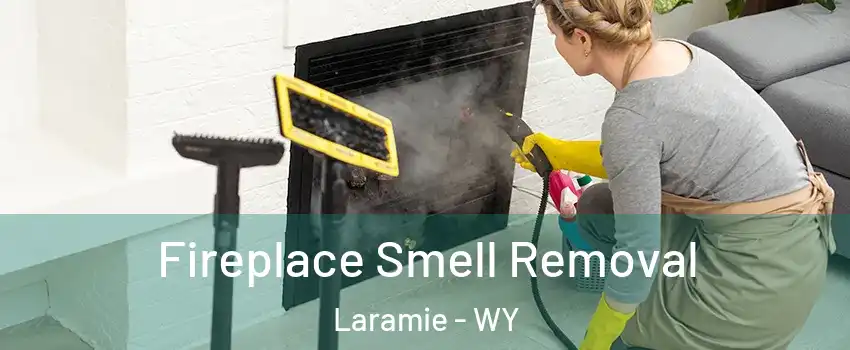  Fireplace Smell Removal Laramie - WY