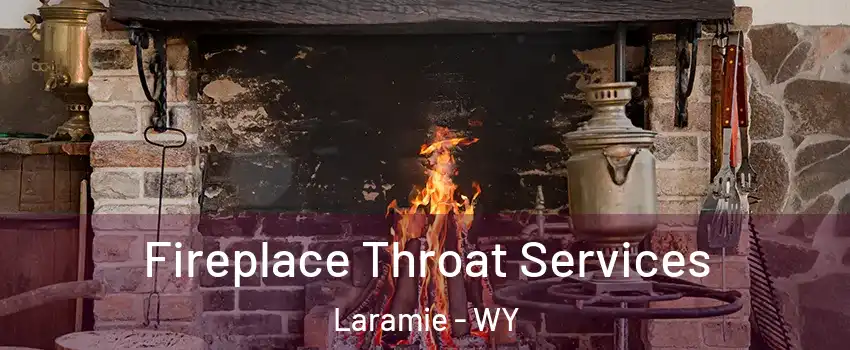  Fireplace Throat Services Laramie - WY