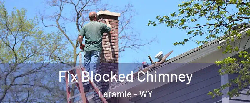  Fix Blocked Chimney Laramie - WY