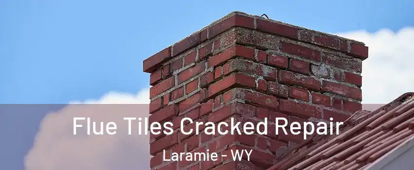  Flue Tiles Cracked Repair Laramie - WY