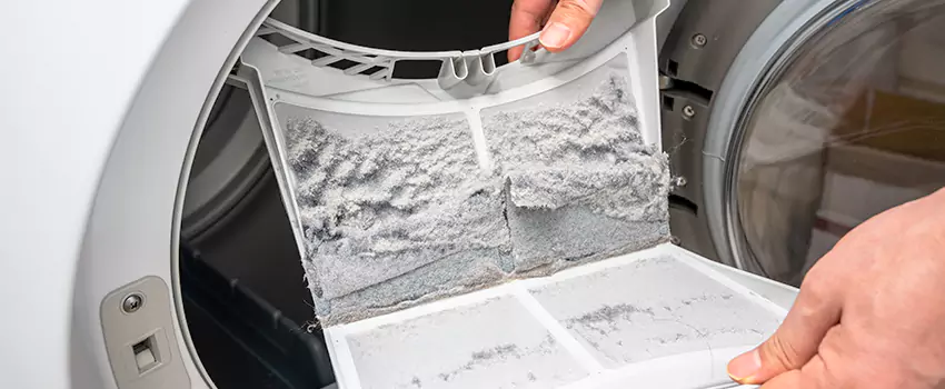 Best Dryer Lint Removal Company in Laramie, Wyoming