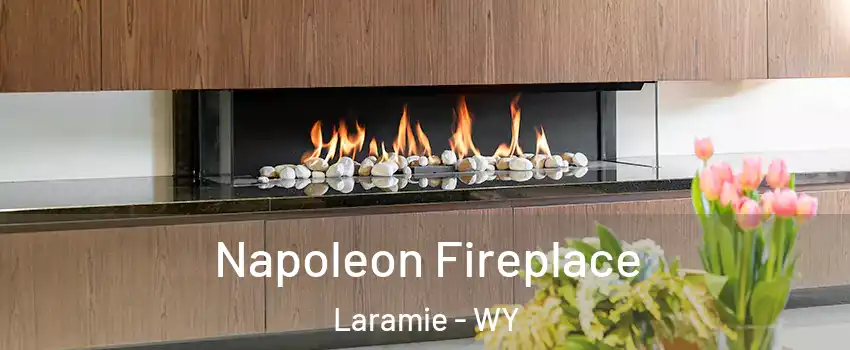  Napoleon Fireplace Laramie - WY