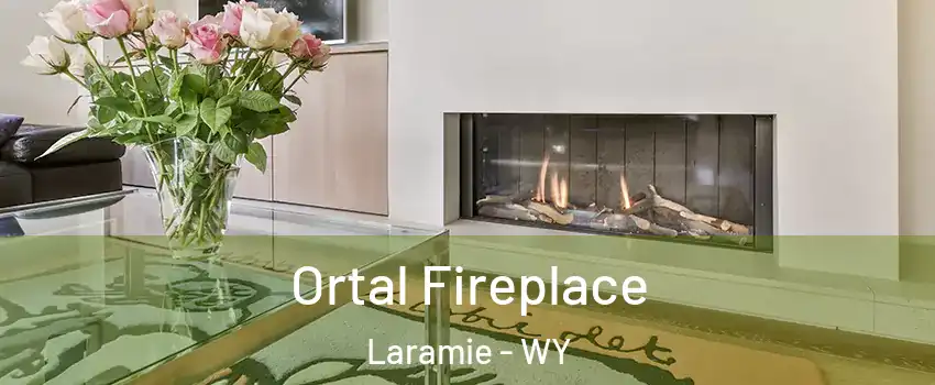  Ortal Fireplace Laramie - WY
